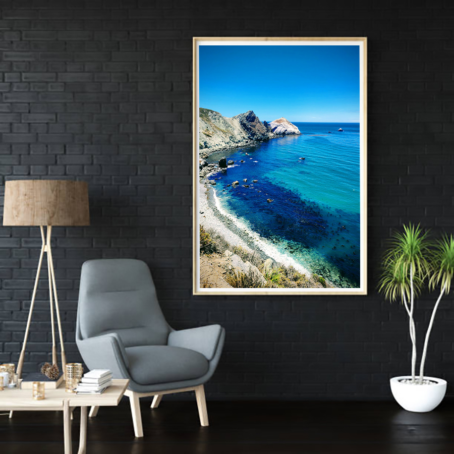 Framed Wall Art Big Sur Portrait Photography